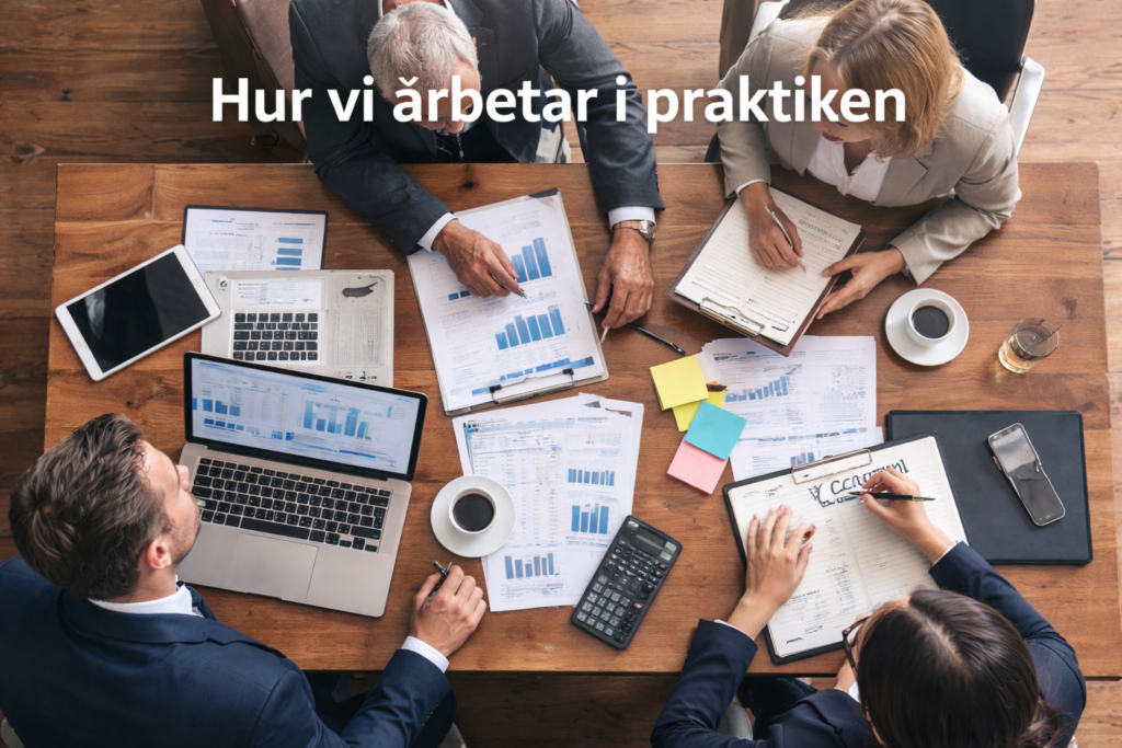 Hur Ekoakuten arbetar i praktiken med ekonomisk analys, nulägesanalys och beslutsstöd för företag