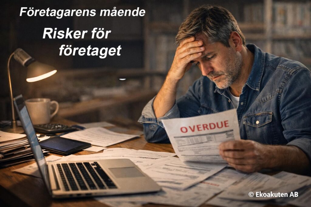 Ta risker i företagandet